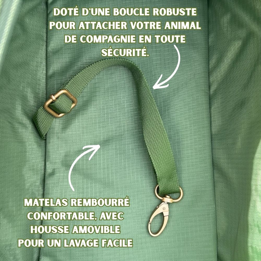 Doggy Bag - Vert