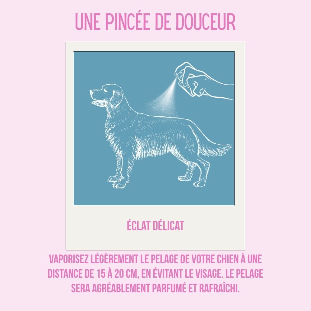 Spray pour chien 6 en 1 au chanvre bio, Parfum et brume apaisante, 300 ml 