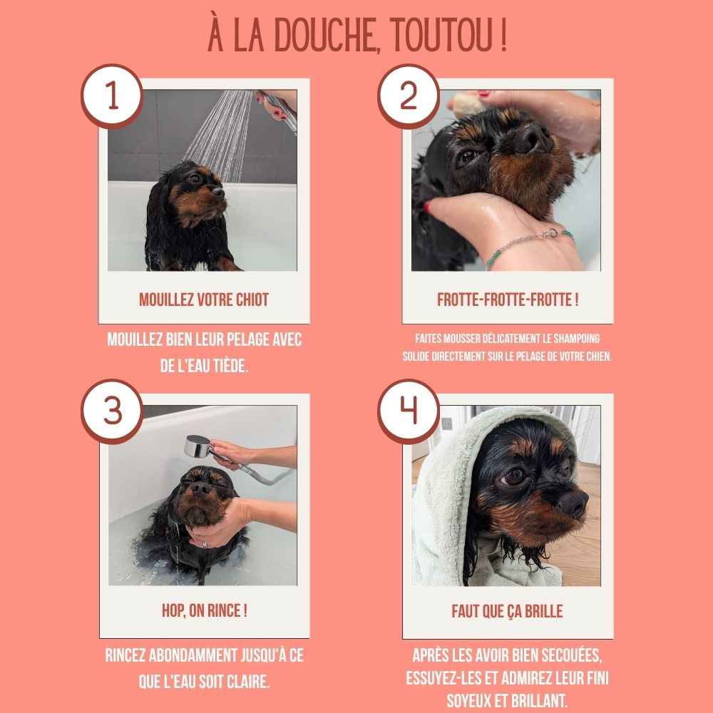 Shampoing solide bio à l'huile d'argan pour animaux - 100 g