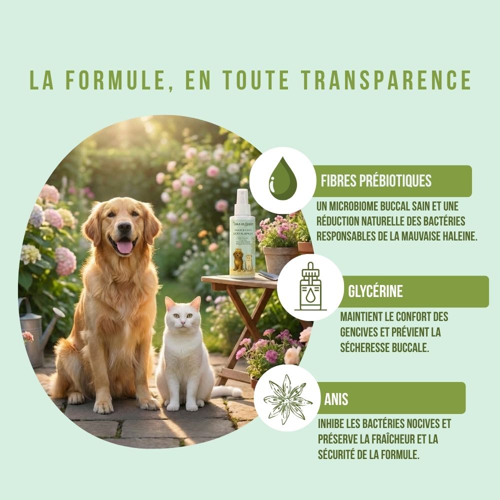 Spray dentaire naturel sans brossage pour chiens et chats 100ml