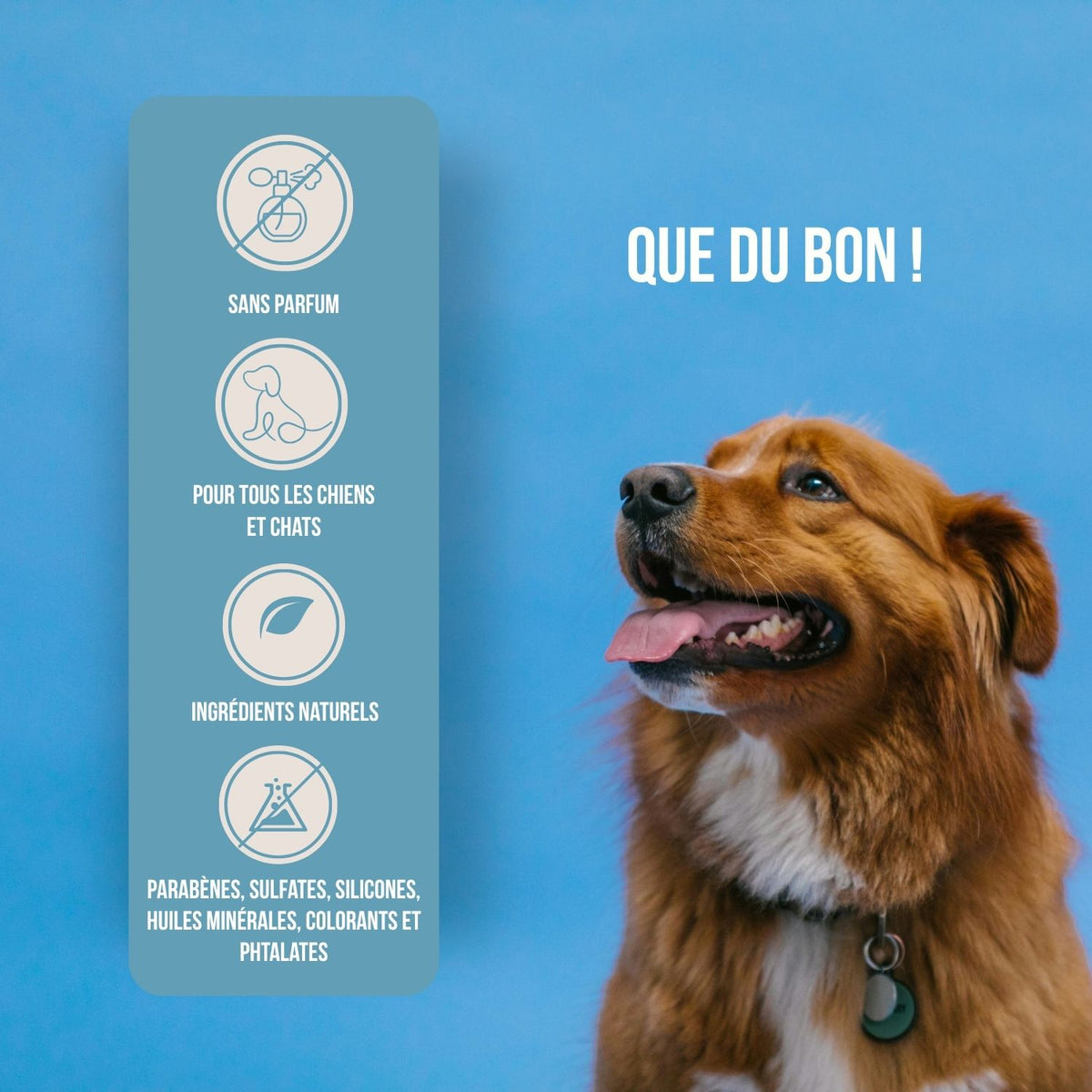 Baume Botanique pour Chien en Stick 30 g