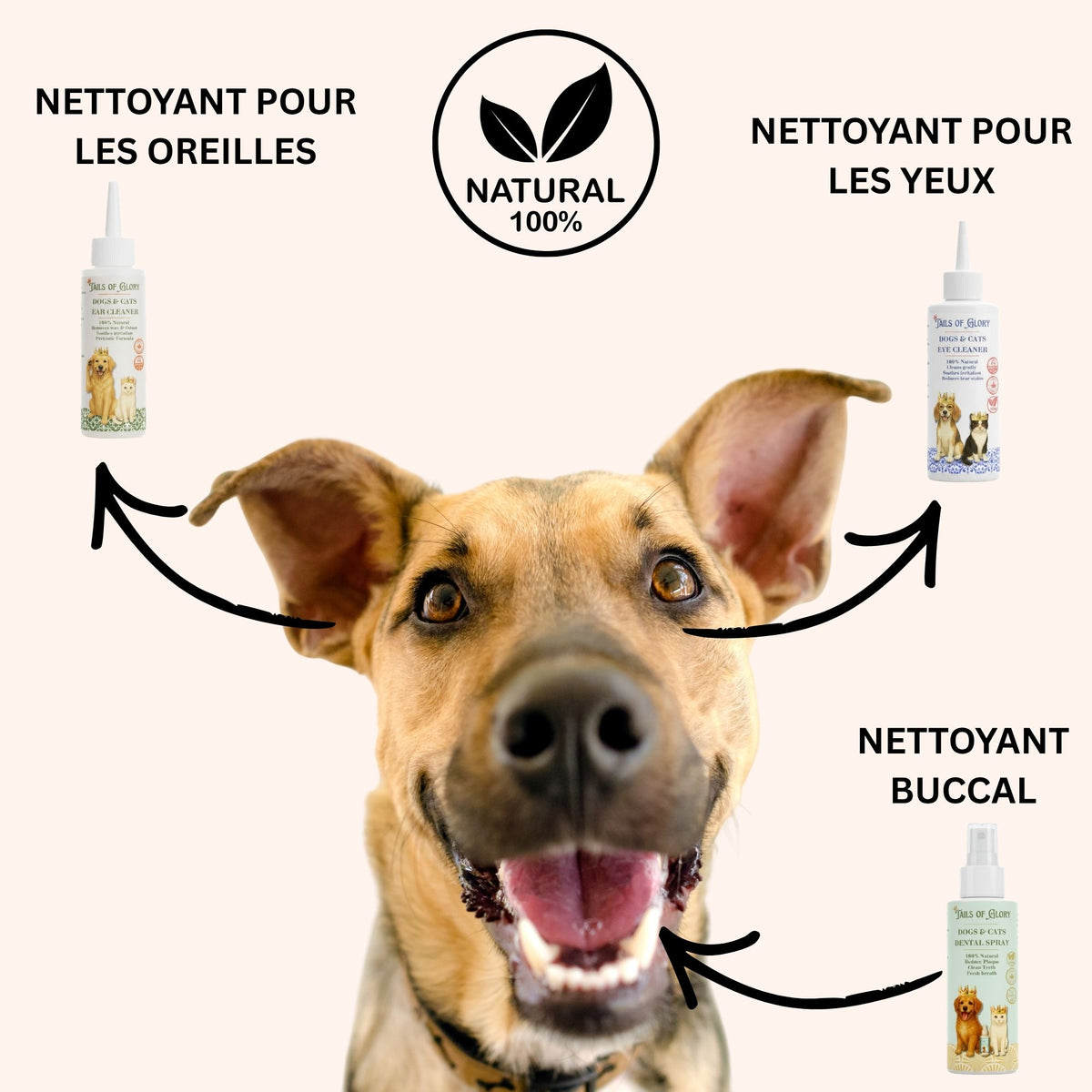 Kit de soin yeux, oreilles et bouche 