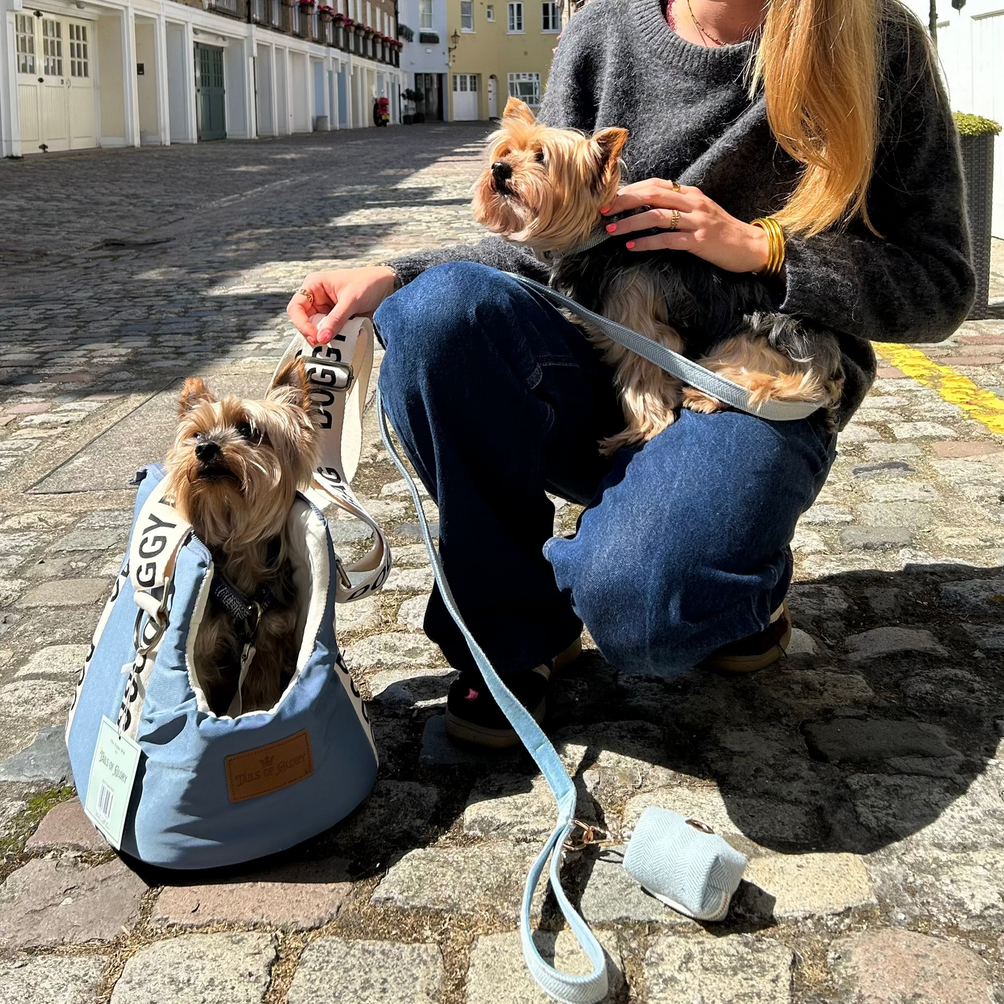 Dog Carrier Bag : Travel and sleeping bag for dogs up to 8 Kilo, Blue