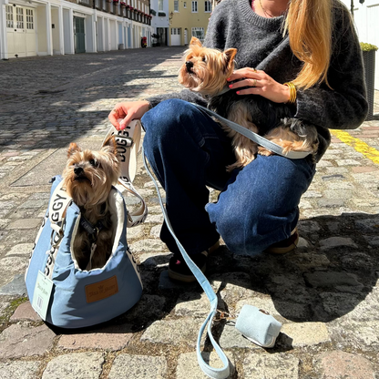 Dog Carrier Bag : Travel and sleeping bag for dogs up to 8 Kilo, Blue