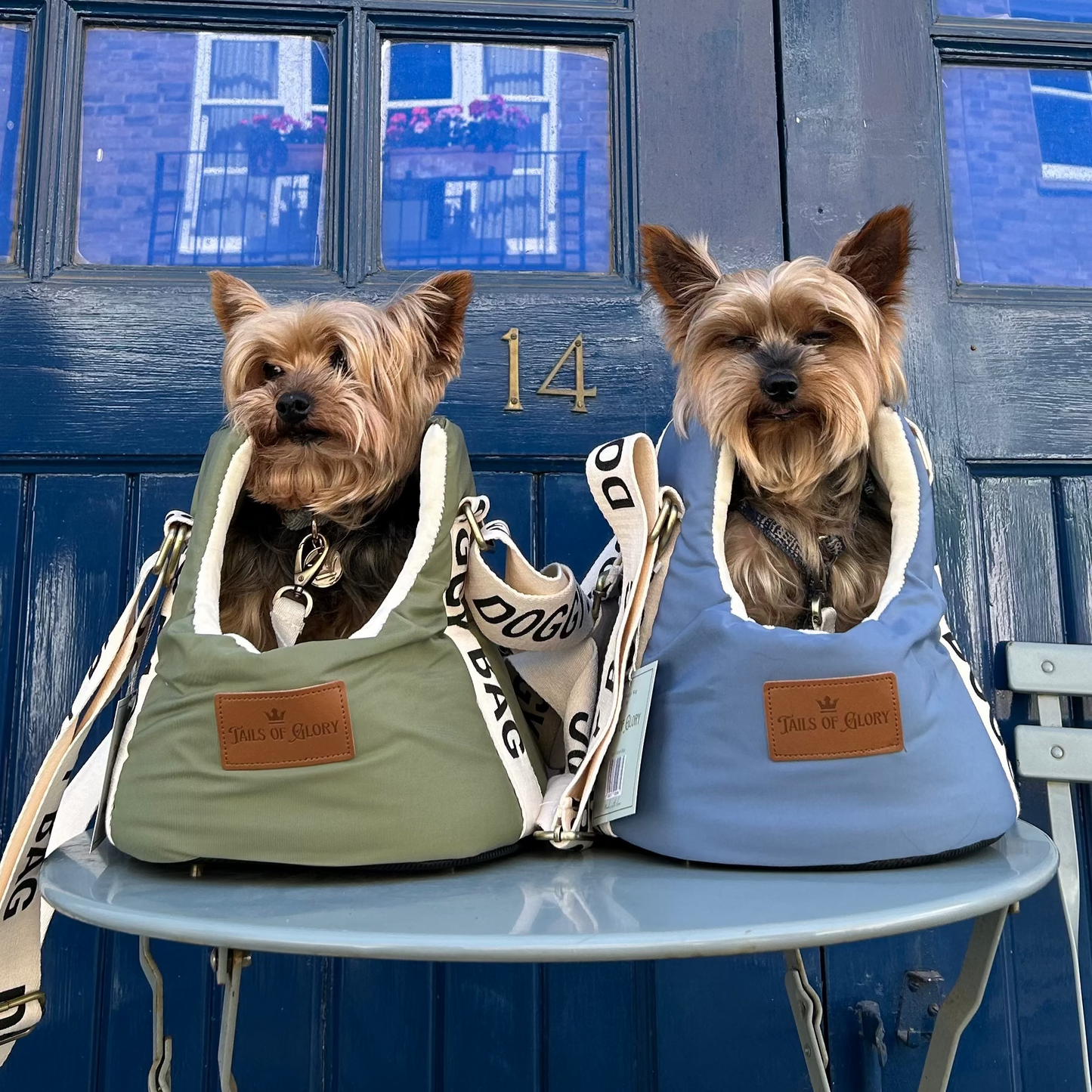 Dog Carrier Bag : Travel and sleeping bag for dogs up to 8 Kilo, Green