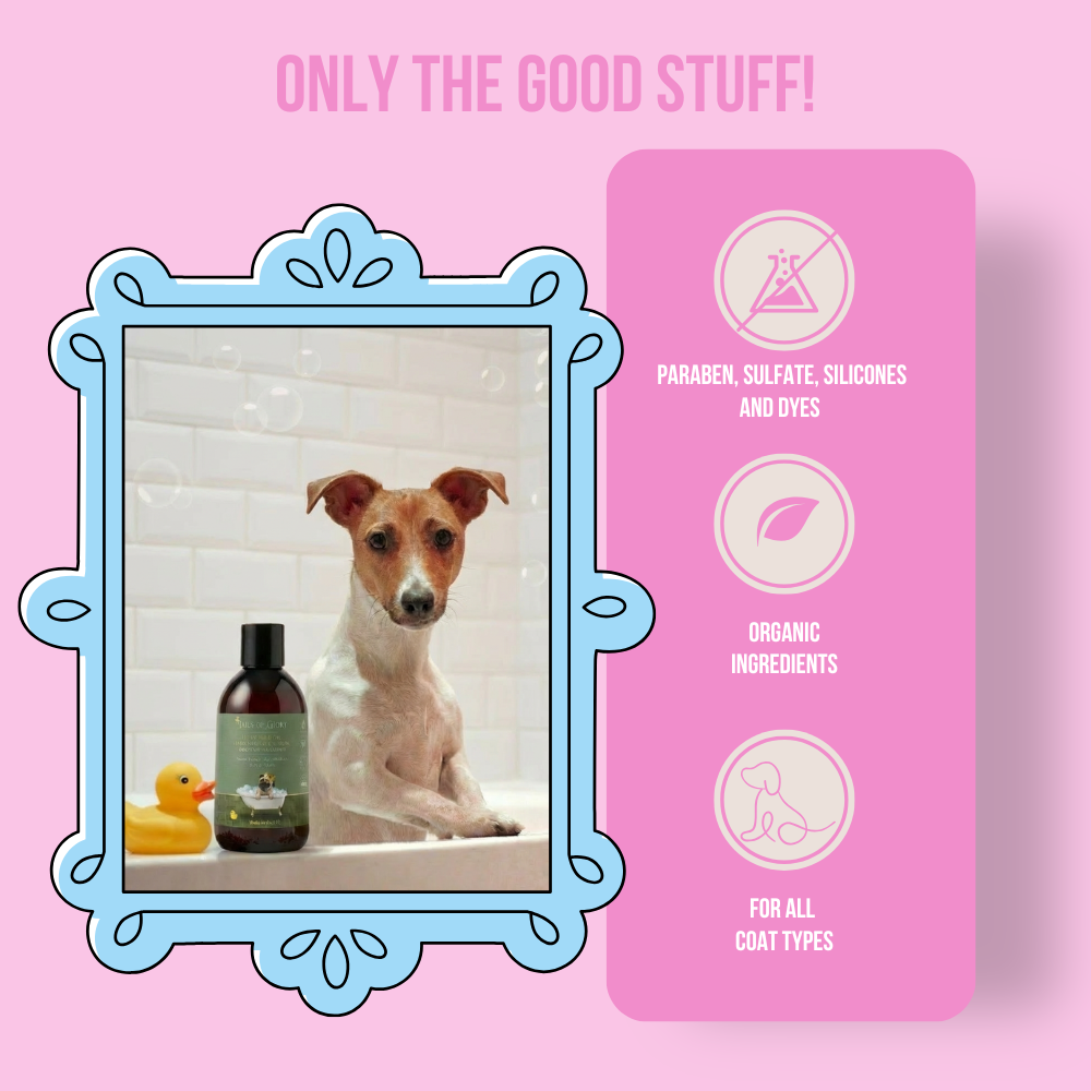 All Natural & Organic Hemp Seed Oil Dog Shampoo 300 ml