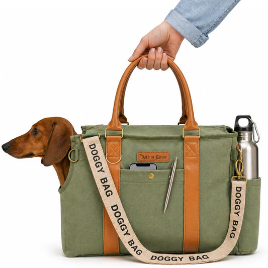 Doggy Bag - Vert